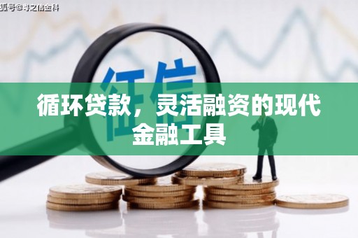 葫芦岛循环贷款，灵活融资的现代金融工具