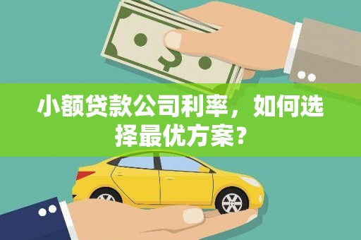 葫芦岛小额贷款公司利率，如何选择最优方案？