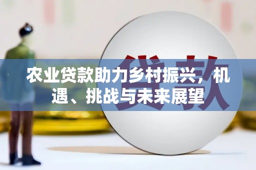 葫芦岛农业贷款助力乡村振兴，机遇、挑战与未来展望