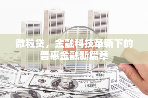 葫芦岛微粒贷，金融科技革新下的普惠金融新篇章