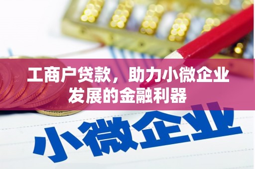 葫芦岛工商户贷款，助力小微企业发展的金融利器