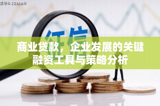 葫芦岛商业贷款，企业发展的关键融资工具与策略分析