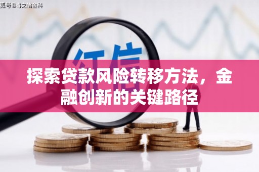 葫芦岛探索贷款风险转移方法，金融创新的关键路径