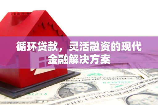 葫芦岛循环贷款，灵活融资的现代金融解决方案