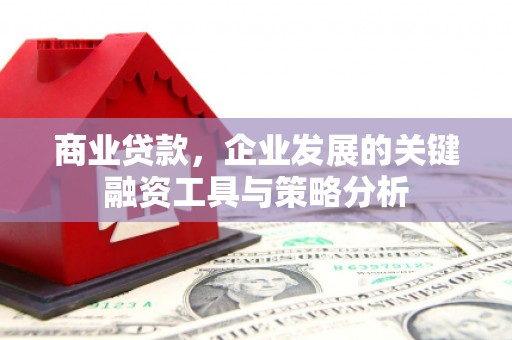 葫芦岛商业贷款，企业发展的关键融资工具与策略分析