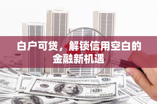 葫芦岛白户可贷，解锁信用空白的金融新机遇