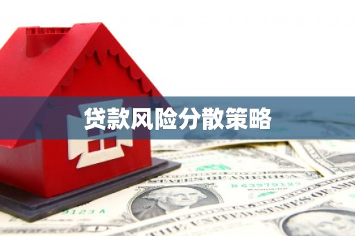 葫芦岛贷款风险分散策略