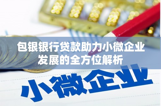 葫芦岛包银银行贷款助力小微企业发展的全方位解析