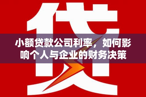 葫芦岛小额贷款公司利率，如何影响个人与企业的财务决策