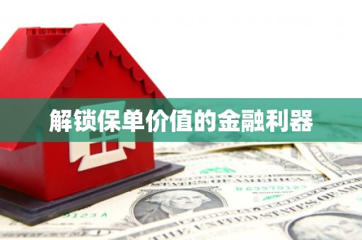 葫芦岛解锁保单价值的金融利器