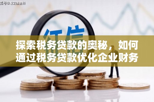 葫芦岛探索税务贷款的奥秘，如何通过税务贷款优化企业财务
