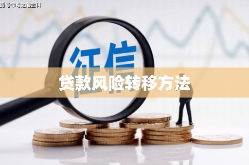 葫芦岛贷款风险转移方法