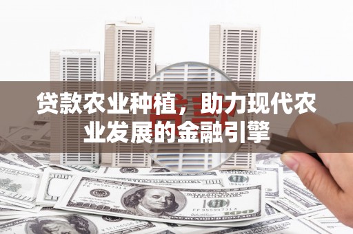 葫芦岛贷款农业种植，助力现代农业发展的金融引擎