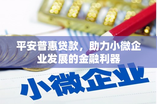 葫芦岛平安普惠贷款，助力小微企业发展的金融利器
