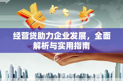 葫芦岛经营贷助力企业发展，全面解析与实用指南