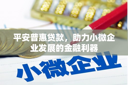 葫芦岛平安普惠贷款，助力小微企业发展的金融利器