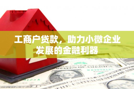 葫芦岛工商户贷款，助力小微企业发展的金融利器