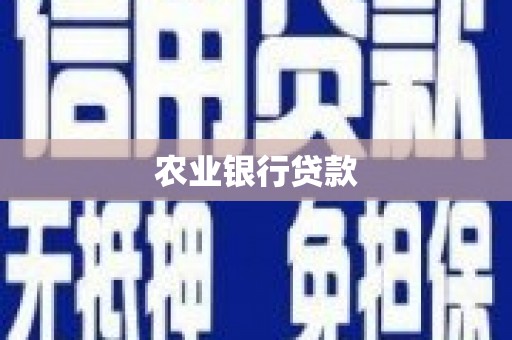葫芦岛农业银行贷款