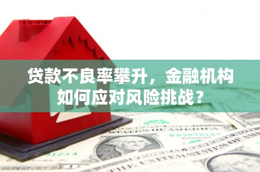 葫芦岛贷款不良率攀升，金融机构如何应对风险挑战？
