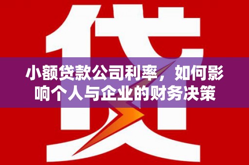 葫芦岛小额贷款公司利率，如何影响个人与企业的财务决策