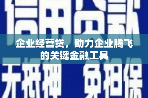 葫芦岛企业经营贷，助力企业腾飞的关键金融工具