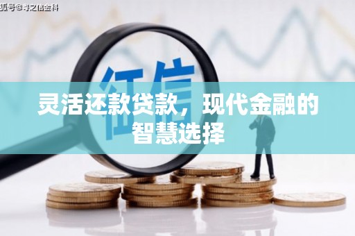 葫芦岛灵活还款贷款，现代金融的智慧选择