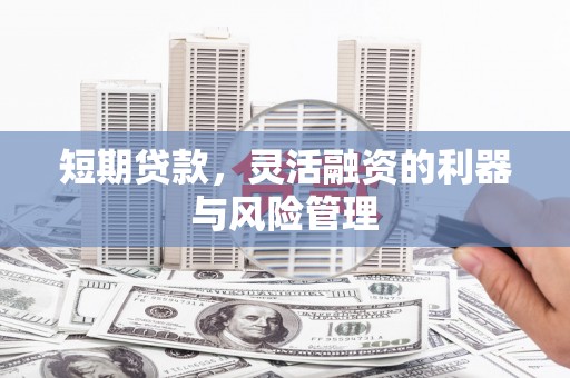 葫芦岛短期贷款，灵活融资的利器与风险管理