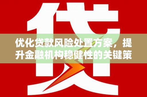 葫芦岛优化贷款风险处置方案，提升金融机构稳健性的关键策略