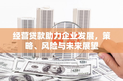 葫芦岛经营贷款助力企业发展，策略、风险与未来展望