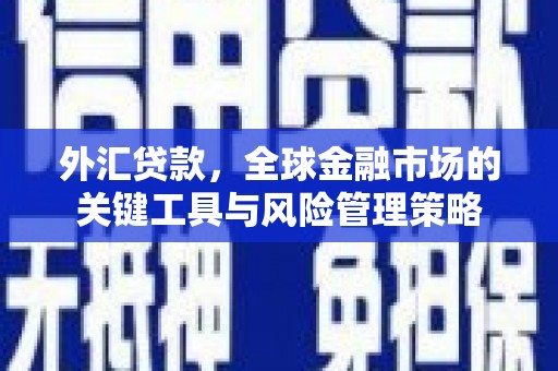 葫芦岛外汇贷款，全球金融市场的关键工具与风险管理策略