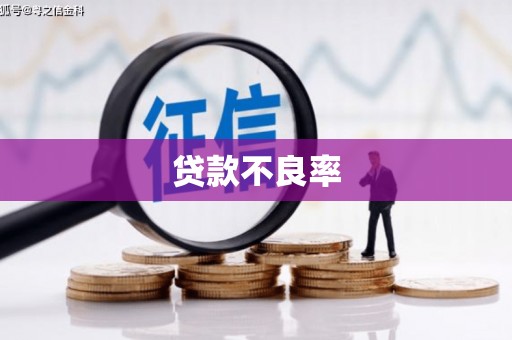 葫芦岛贷款不良率