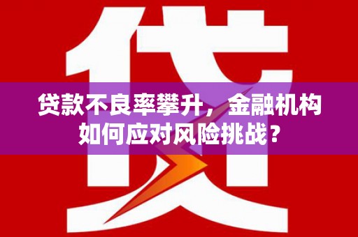 葫芦岛贷款不良率攀升，金融机构如何应对风险挑战？