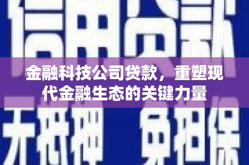 葫芦岛金融科技公司贷款，重塑现代金融生态的关键力量