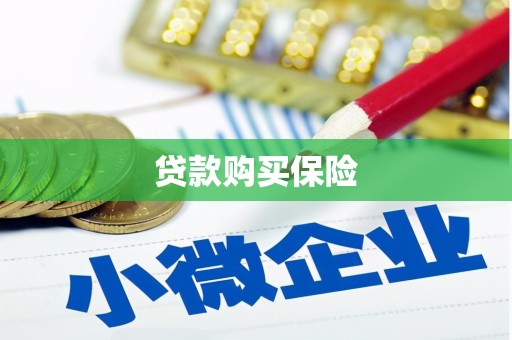葫芦岛贷款购买保险