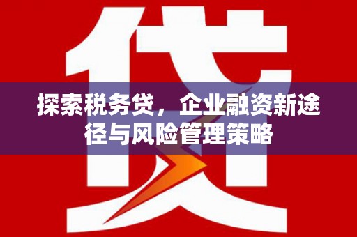 葫芦岛探索税务贷，企业融资新途径与风险管理策略