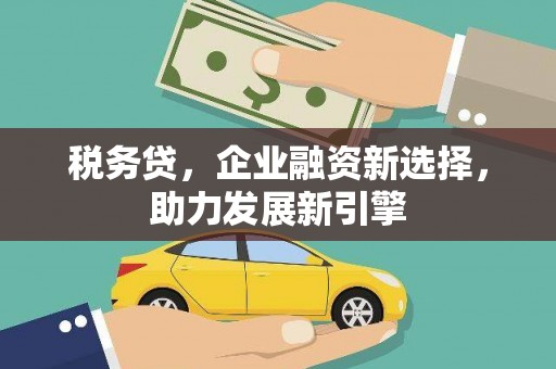 葫芦岛税务贷，企业融资新选择，助力发展新引擎