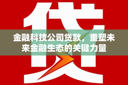 葫芦岛金融科技公司贷款，重塑未来金融生态的关键力量