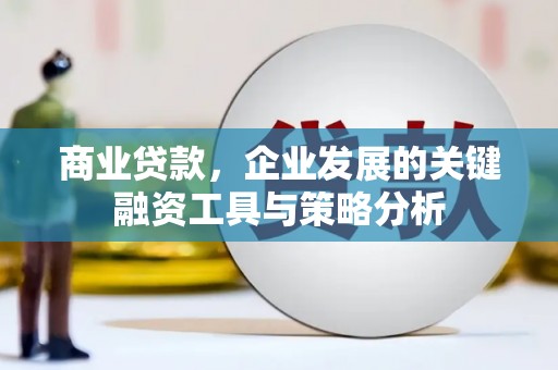 葫芦岛商业贷款，企业发展的关键融资工具与策略分析