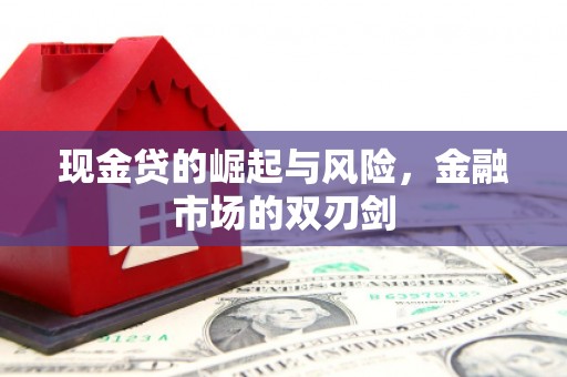 葫芦岛现金贷的崛起与风险，金融市场的双刃剑