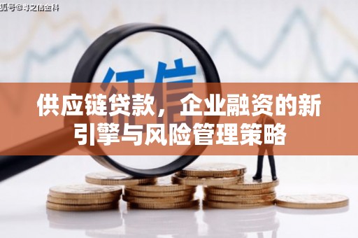 葫芦岛供应链贷款，企业融资的新引擎与风险管理策略