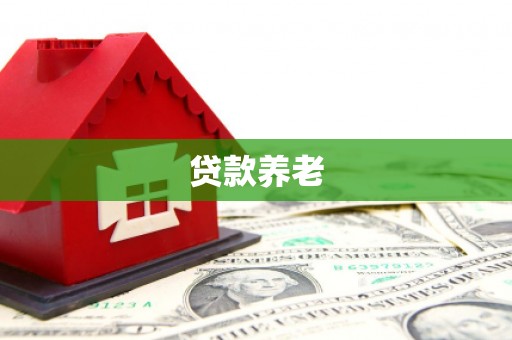 葫芦岛贷款养老