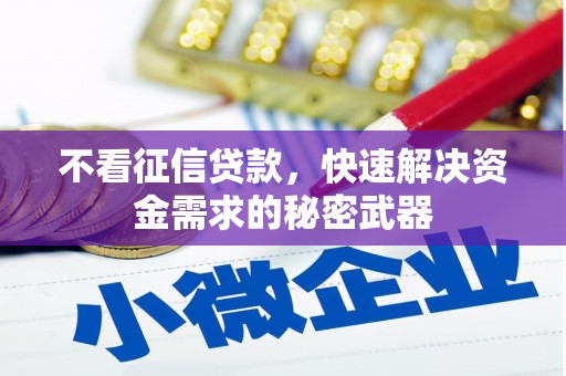 葫芦岛不看征信贷款，快速解决资金需求的秘密武器