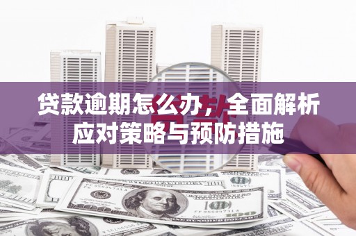 葫芦岛贷款逾期怎么办，全面解析应对策略与预防措施