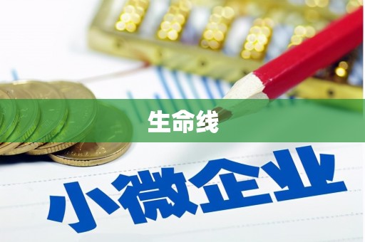 葫芦岛生命线