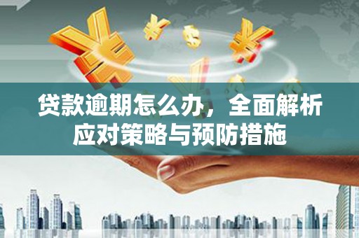 葫芦岛贷款逾期怎么办，全面解析应对策略与预防措施