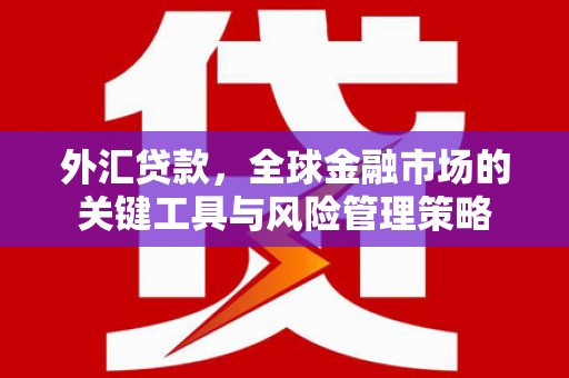 葫芦岛外汇贷款，全球金融市场的关键工具与风险管理策略