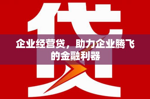 葫芦岛企业经营贷，助力企业腾飞的金融利器