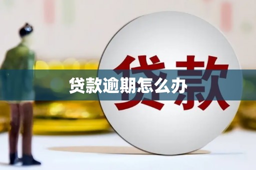 葫芦岛贷款逾期怎么办