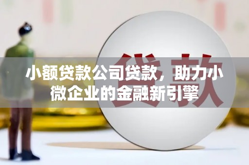 葫芦岛小额贷款公司贷款，助力小微企业的金融新引擎