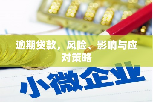 葫芦岛逾期贷款，风险、影响与应对策略
